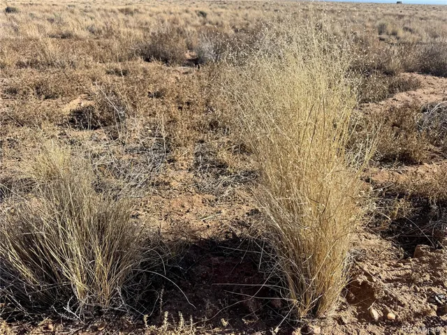 a view of a yard with wooden fence