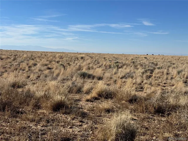 a view of a dry yard with wooden floor and fence