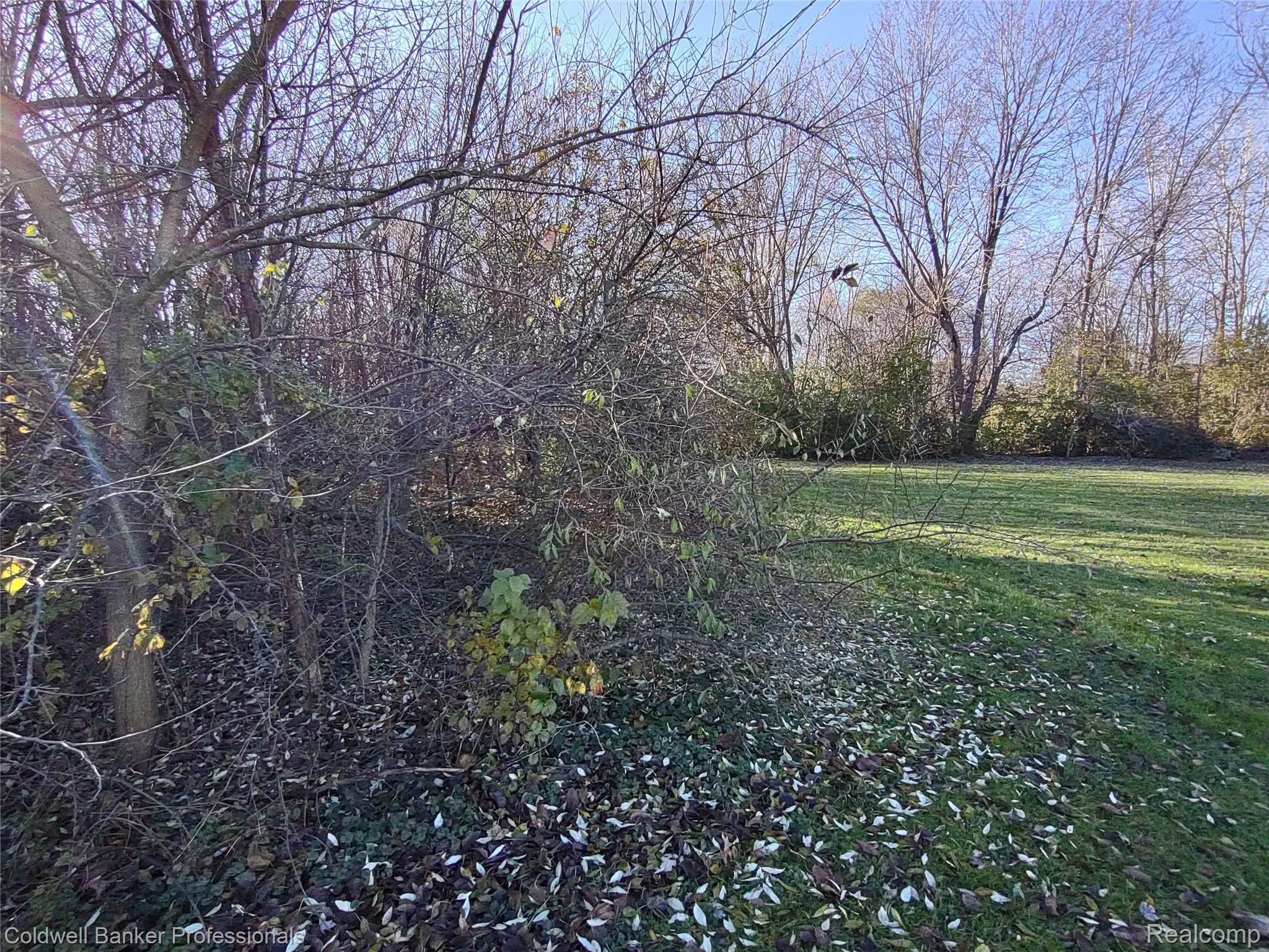 7186 Sheldon Road Belleville, MI 48111 - Photo 13 of 41 IMG_20211119_142954070.jpg