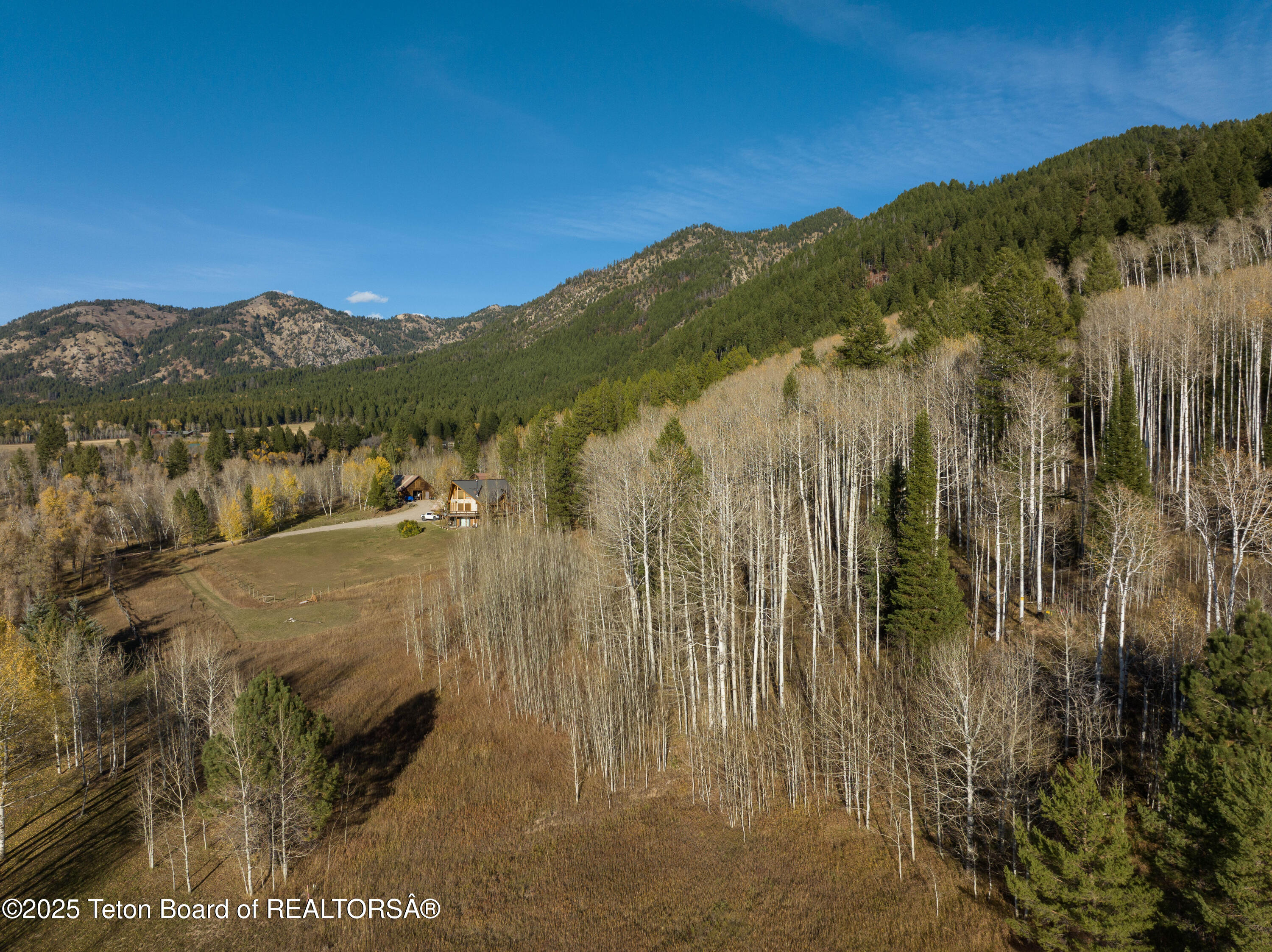 Lot 2 Stewart Creek Road Etna, WY 83118 - Photo 10 of 16 Aspen forest