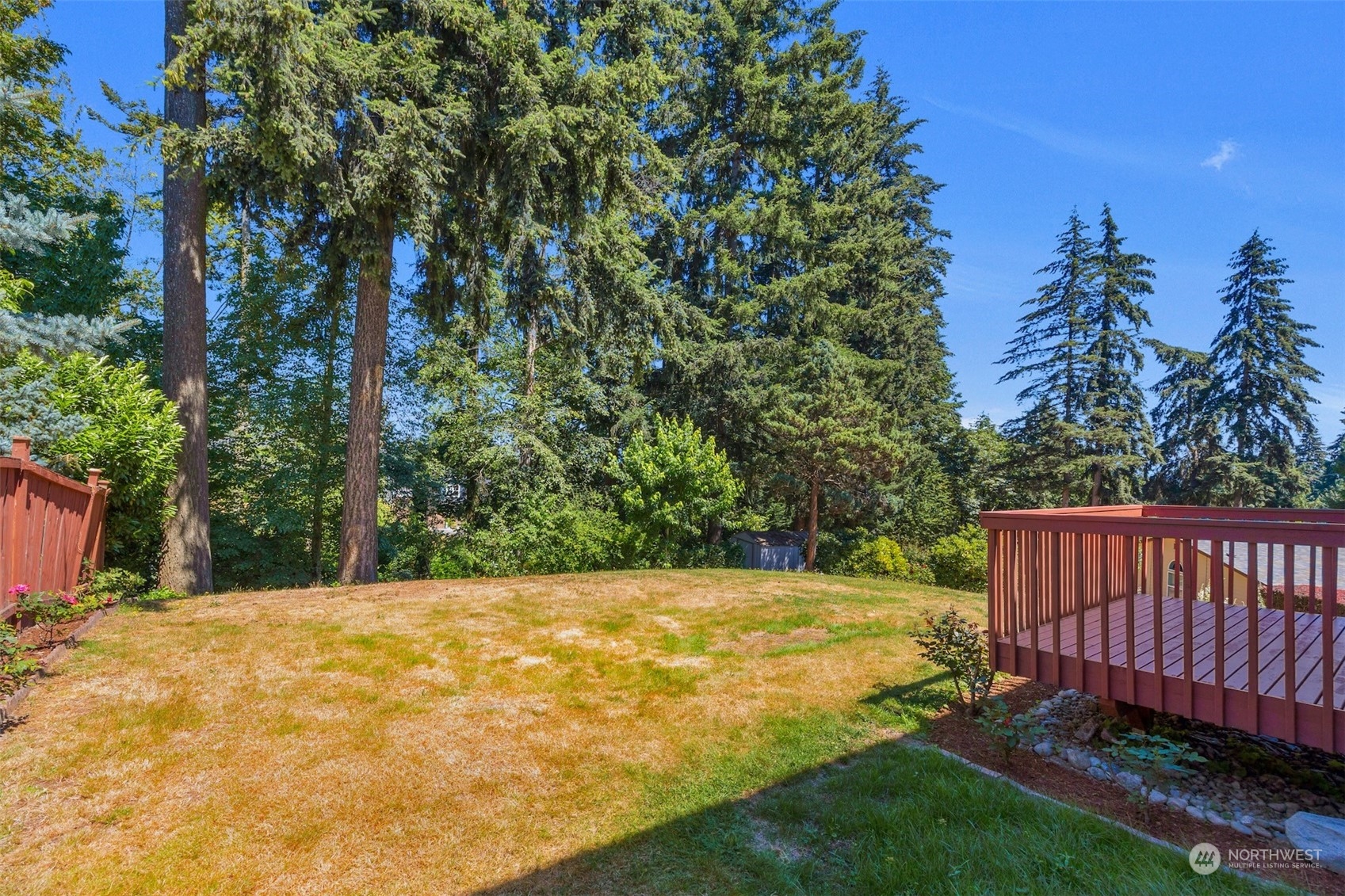 7 213th Street Southeast, Unit B Bothell, WA 98021 - Photo 28 of 34 a view of a backyard with a small cabin