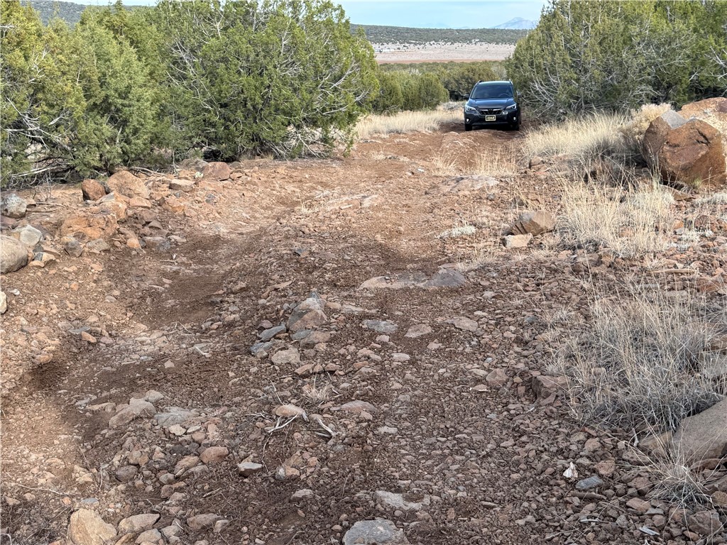 34745 West Running Shadow Road Seligman, AZ 86337 - Photo 34 of 52