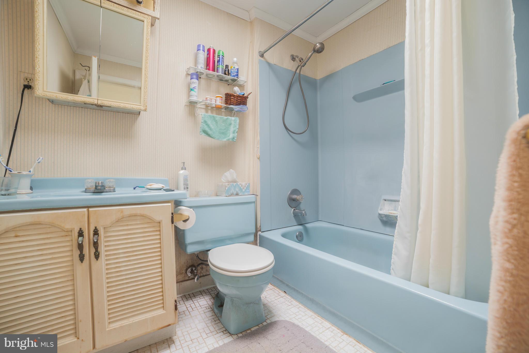 112 Hillside Road Catonsville, MD 21228 - Photo 23 of 30 Bath (Master)