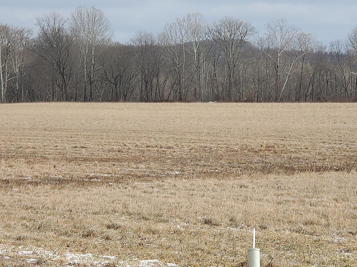 975 Vigo Road Chillicothe, OH 45601 - Photo 37 of 42 Gallery Image 37