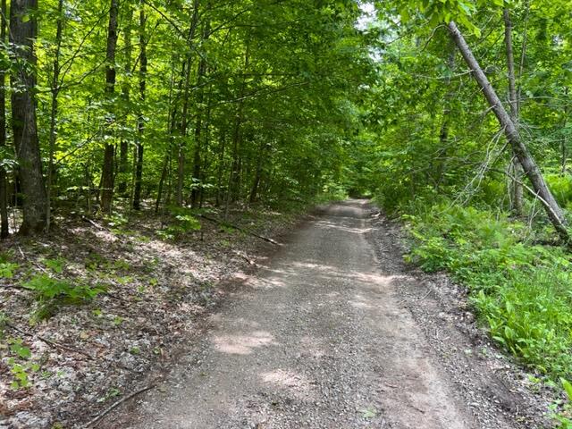 15600 Barberry Road Wolverine, MI 49799 - Photo 14 of 15 Gallery Image 14