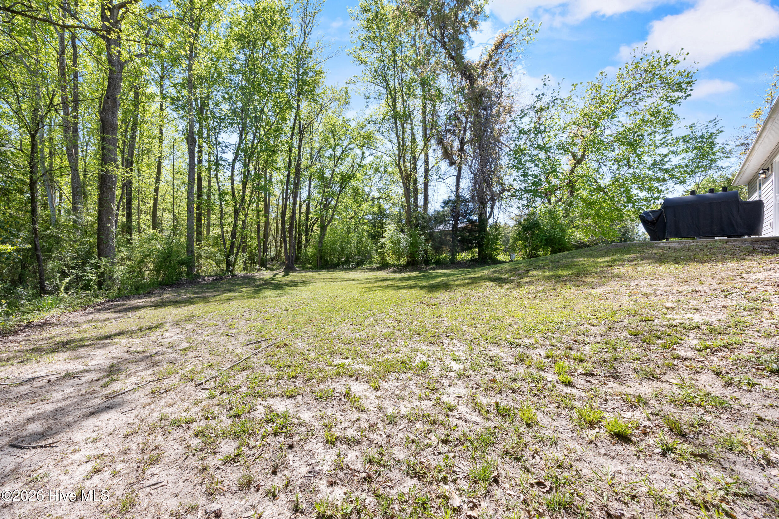 832 Old 30 Road Jacksonville, NC 28546 - Photo 35 of 51 36_backyard