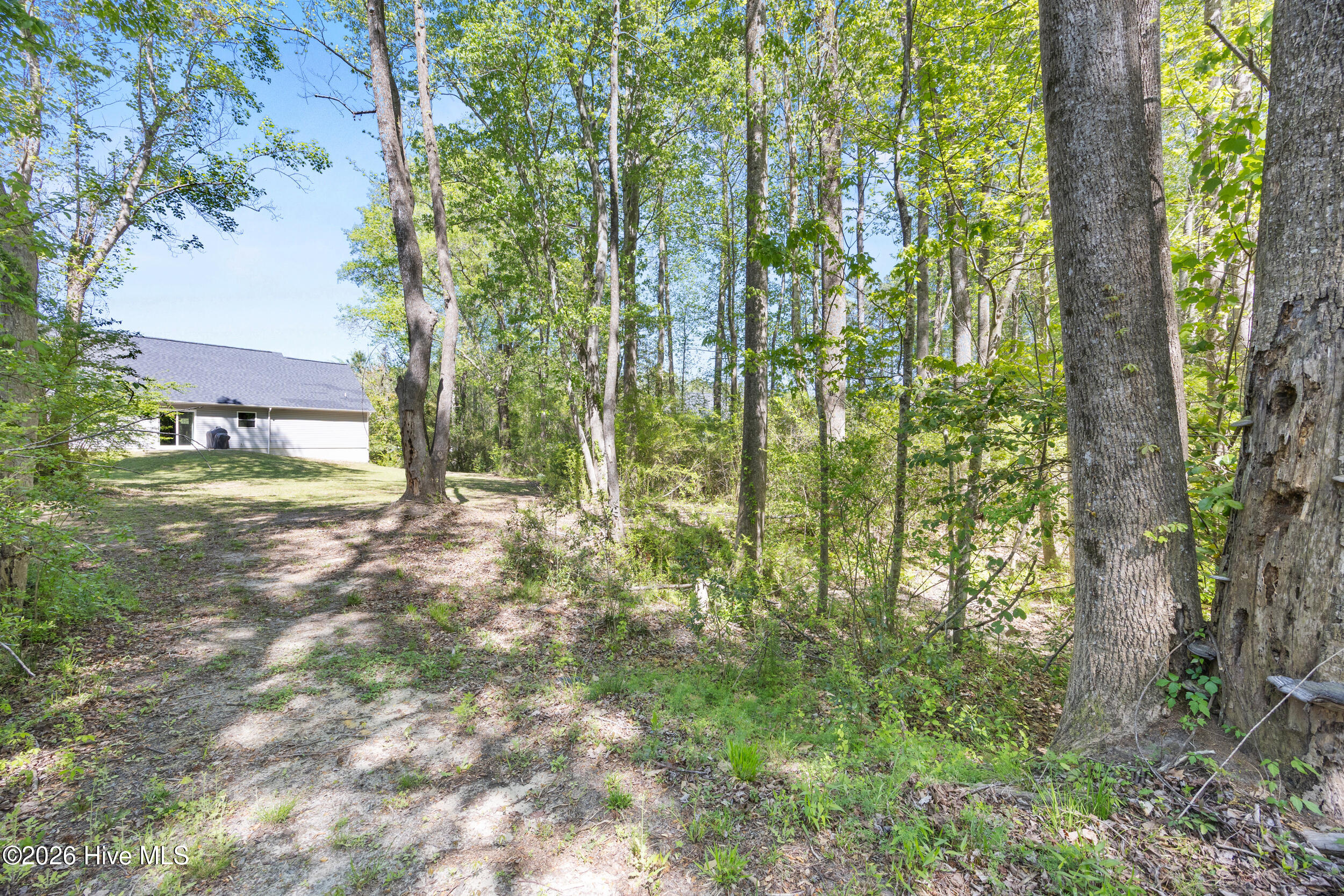 832 Old 30 Road Jacksonville, NC 28546 - Photo 40 of 51 41_backyard