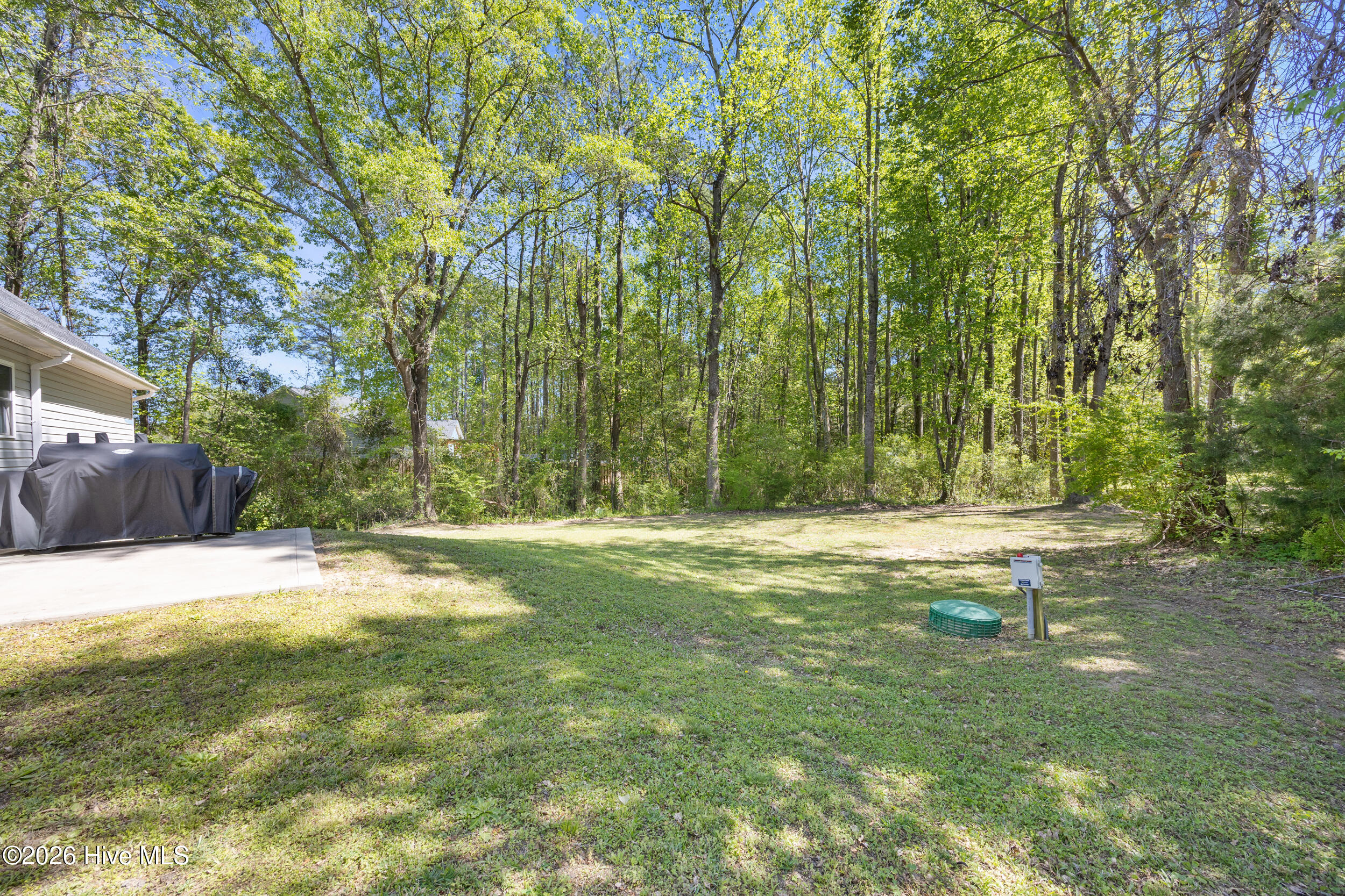 832 Old 30 Road Jacksonville, NC 28546 - Photo 41 of 51 42_backyard