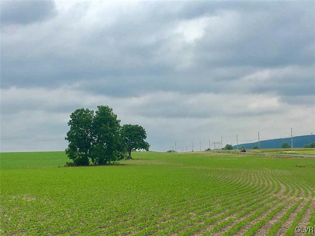 6200 Mountain Road Germansville, PA 18053 - Photo 3 of 19 3 acre lot ~ level ~ endless recreational possibil