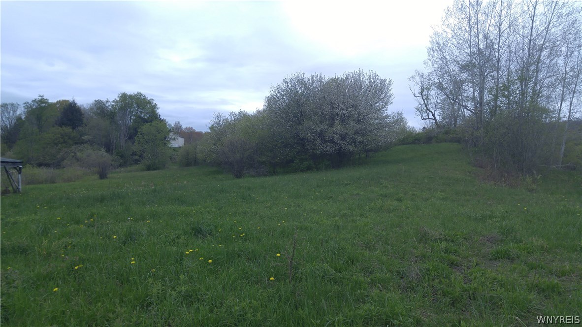 Vl Dunn Road Boston, NY 14025 - Photo 1 of 1