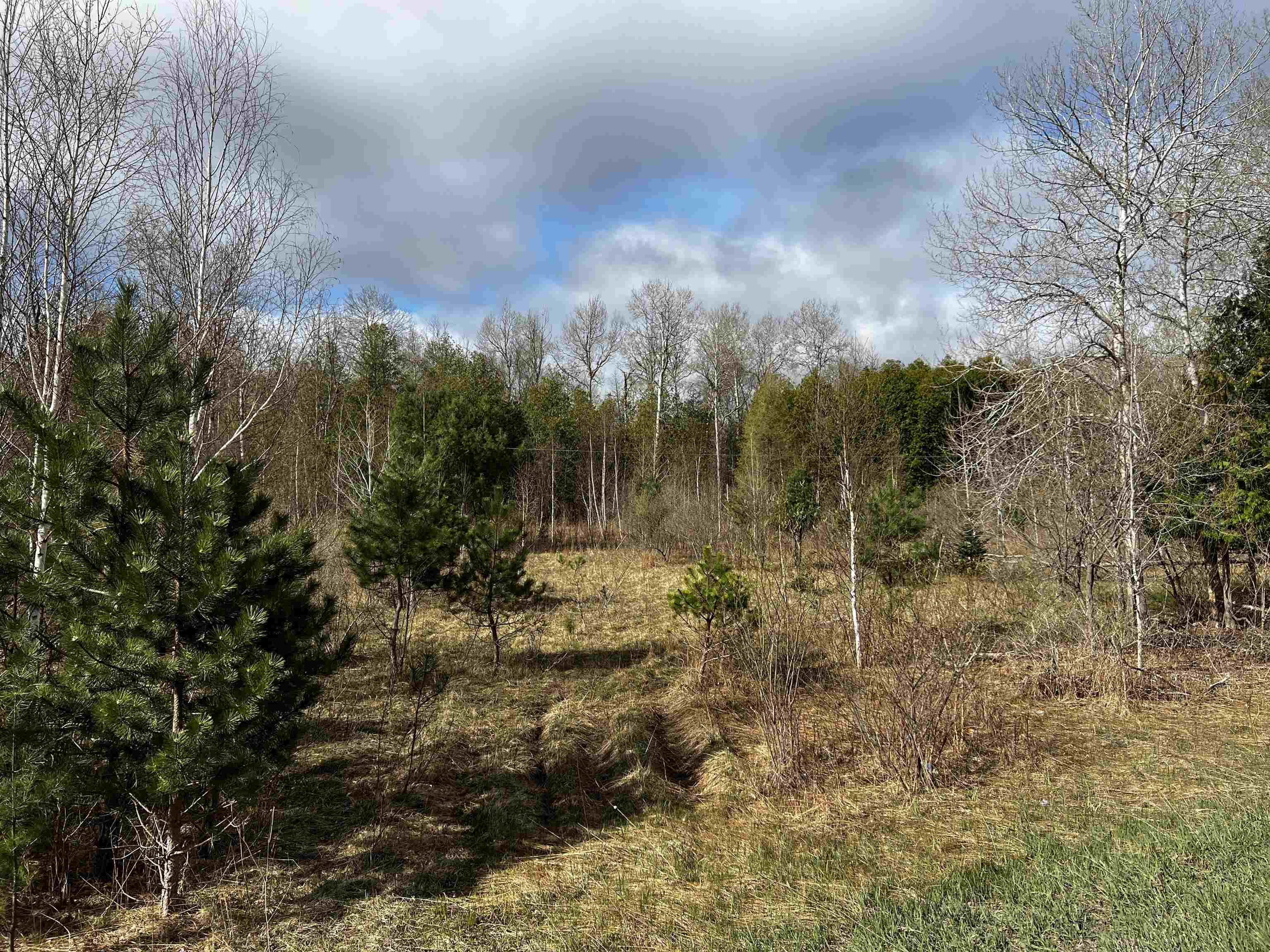 0 Goose Road Honor, MI 49640 - Photo 2 of 7