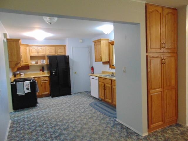 186 South Luce Road Ithaca, MI 48847 - Photo 16 of 60