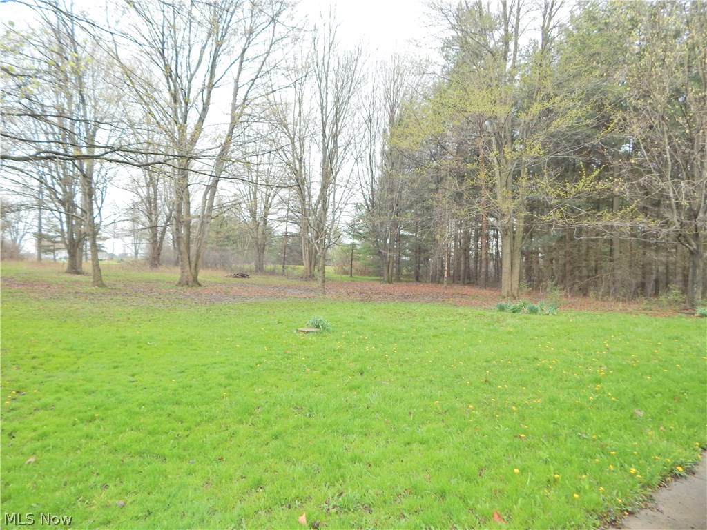 6309 Ryan Road Medina, OH 44256 - Photo 28 of 32 Gallery Image 28
