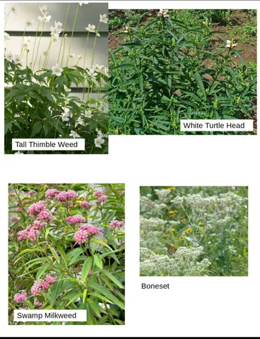 $225,000 | Castlebar Lane, Onsted, MI 49265