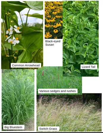 $225,000 | Castlebar Lane, Onsted, MI 49265