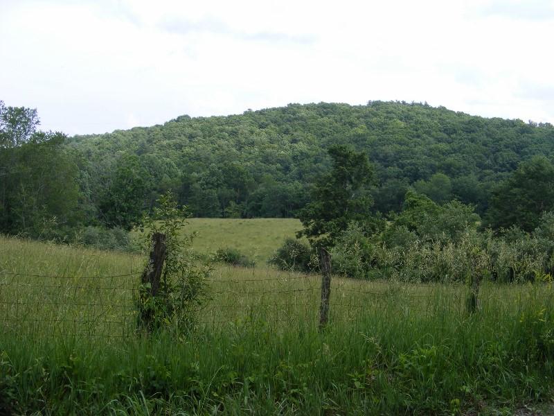 1840 Reedsville Road Northwest Floyd, VA 24091 - Photo 2 of 6 a view of a lush green forest with a lake view