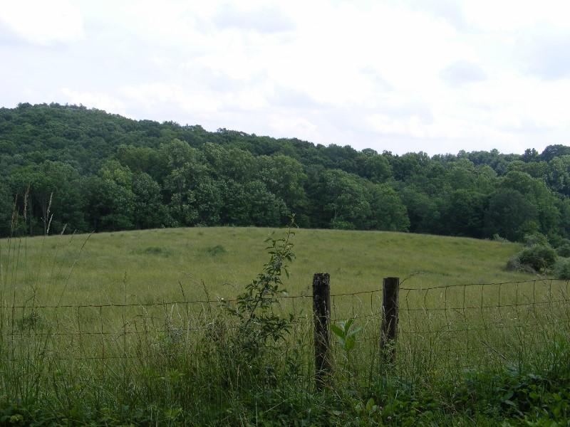 1840 Reedsville Road Northwest Floyd, VA 24091 - Photo 3 of 6 a view of a grassy area with an trees