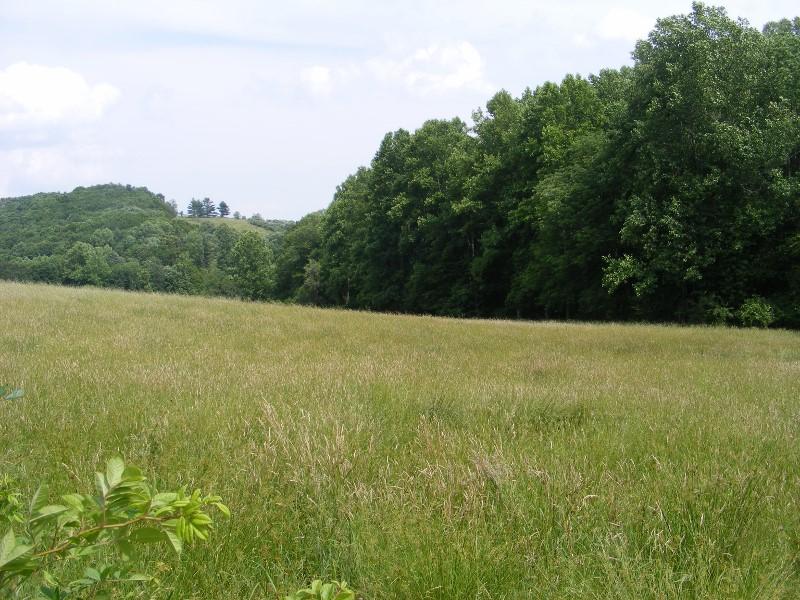 1840 Reedsville Road Northwest Floyd, VA 24091 - Photo 6 of 6 a view of a field with an outdoor space