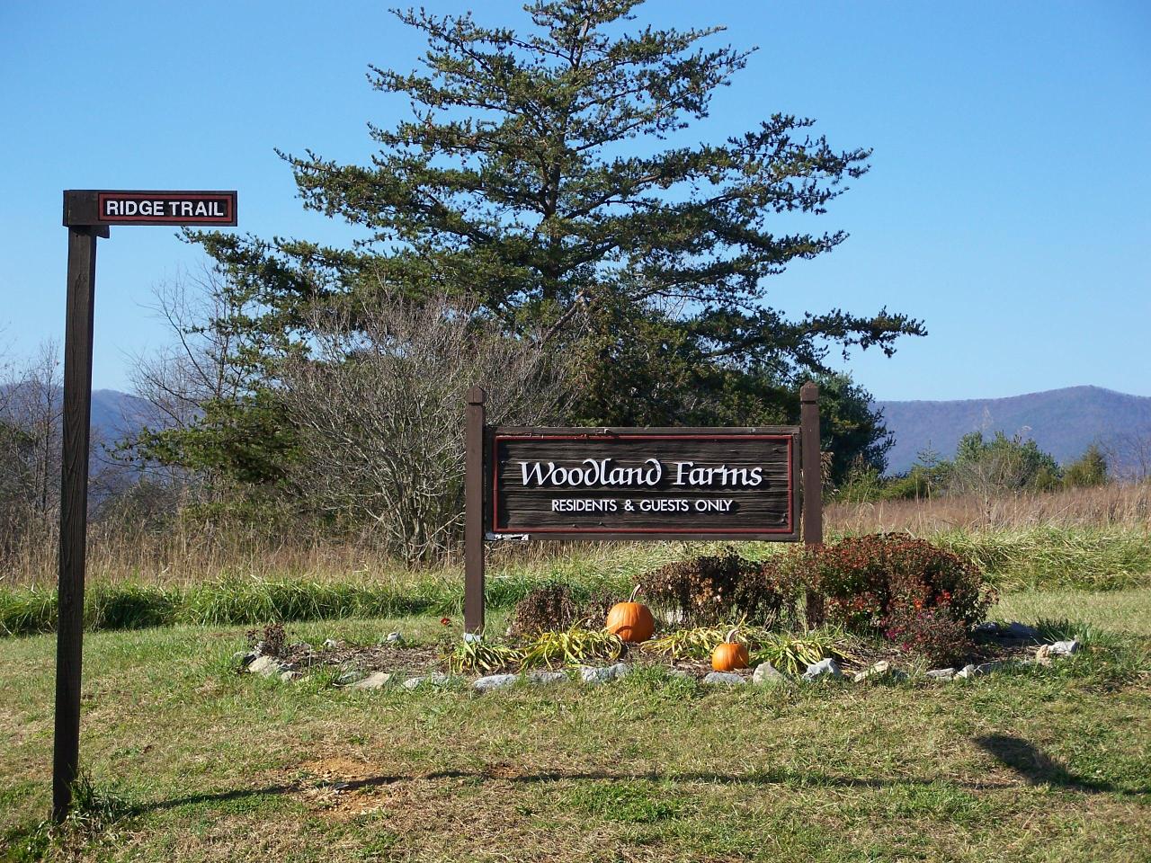 42 Ridge Trail Fincastle, VA 24090 - Photo 7 of 13 Woodland Farms entrance