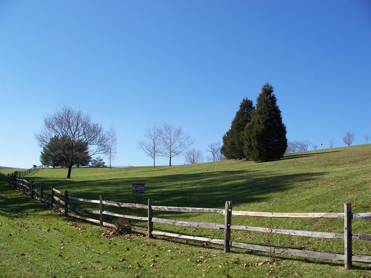 42 Ridge Trail Fincastle, VA 24090 - Photo 8 of 13 front acreage