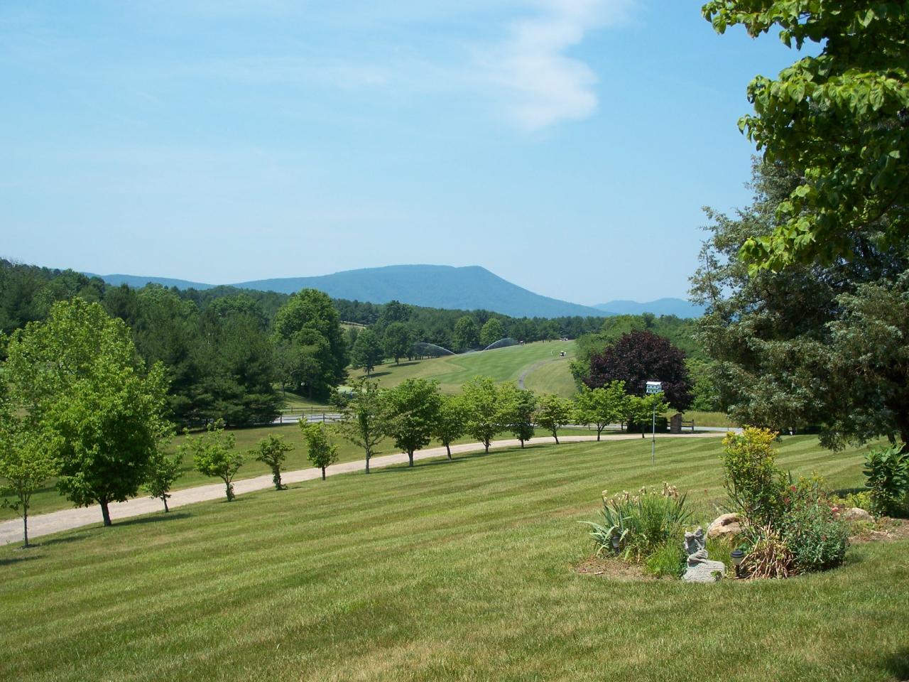 42 Ridge Trail Fincastle, VA 24090 - Photo 9 of 13 view of golf course