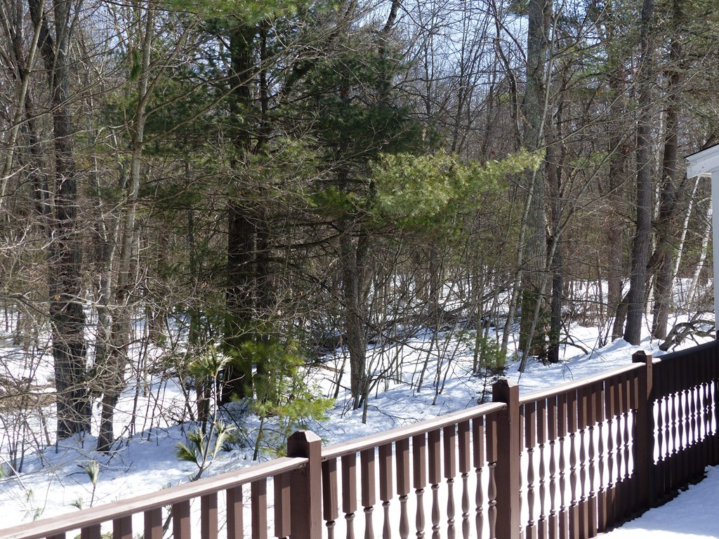 9 Crane Crossing Road, Unit 31 Plaistow, NH 03865 - Photo 20 of 21 Gallery Image 20