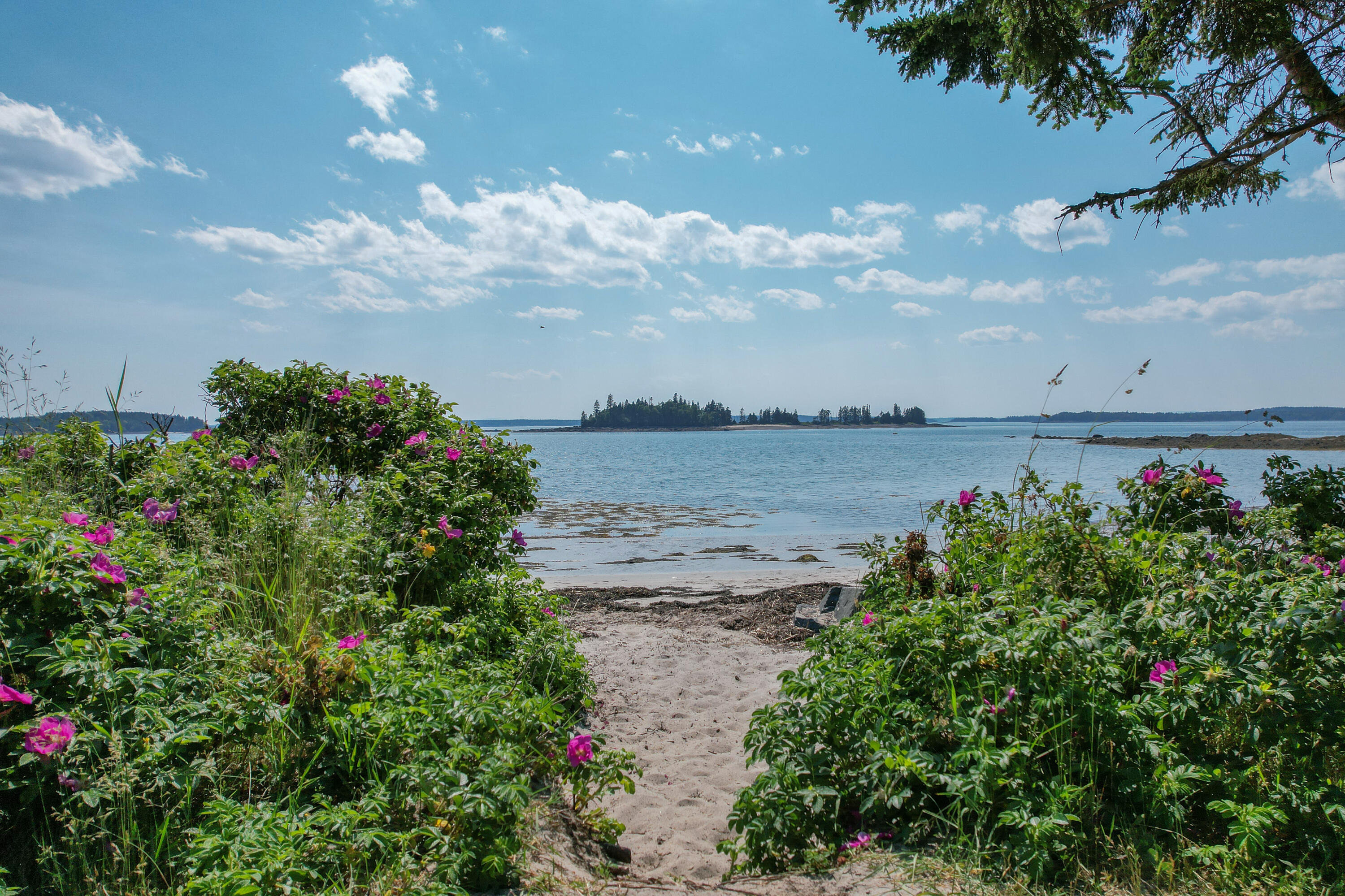 397 Cape Split Road Addison, ME 04606 - Photo 4 of 64 DJI_0286