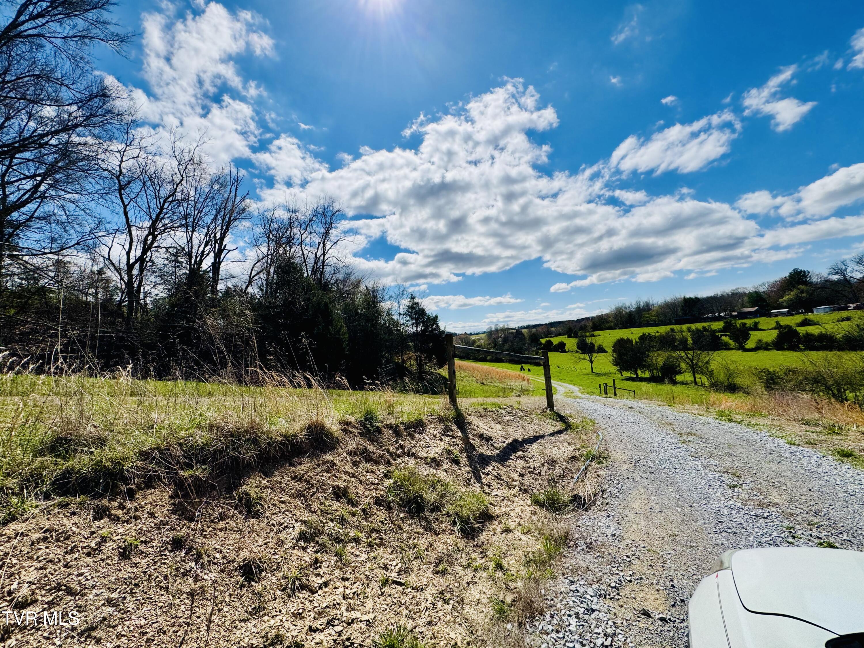 639 Saylor Hill Road Limestone, TN 37681 - Photo 11 of 75 IMG_9997