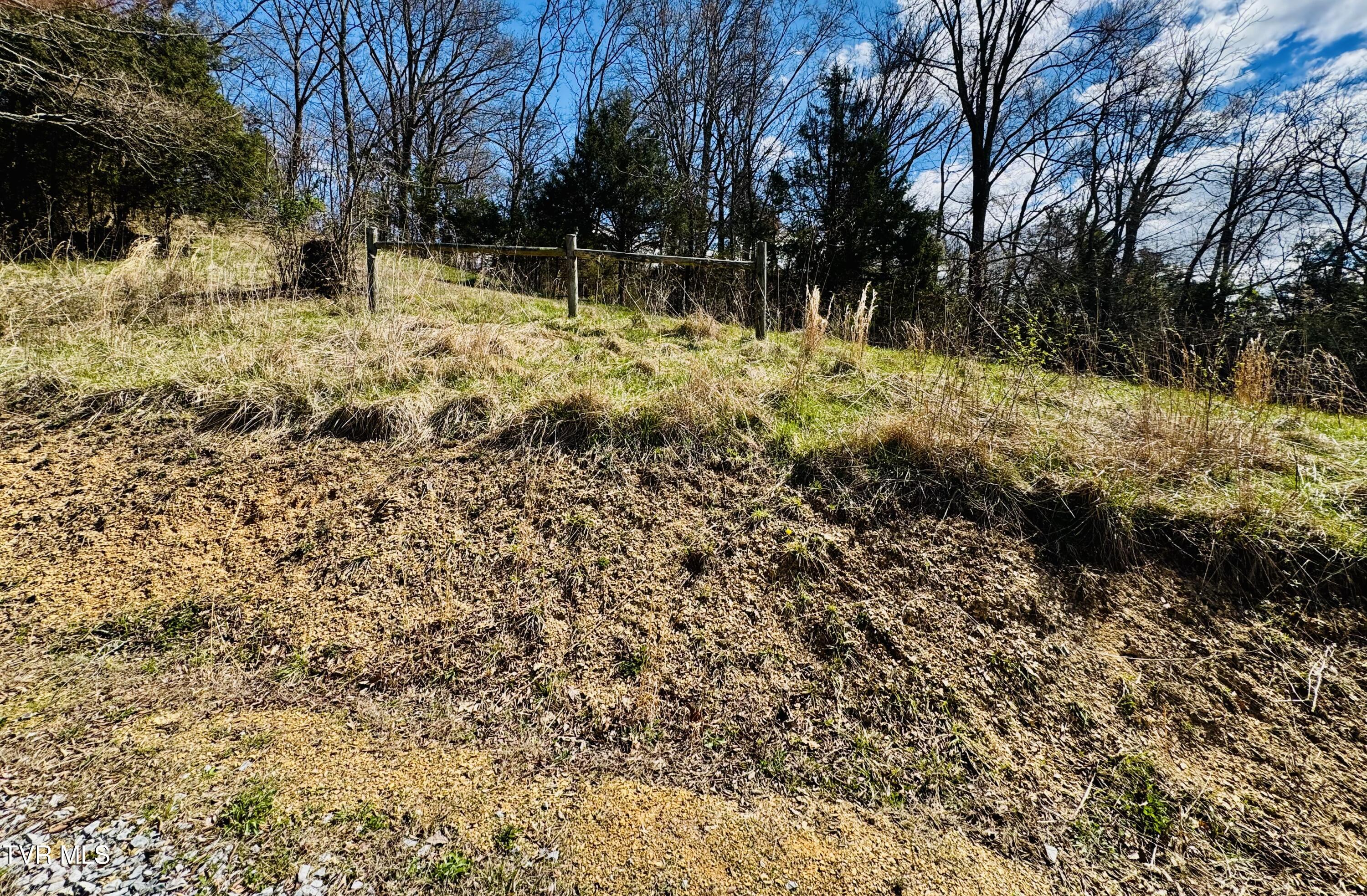 639 Saylor Hill Road Limestone, TN 37681 - Photo 12 of 75 IMG_9996