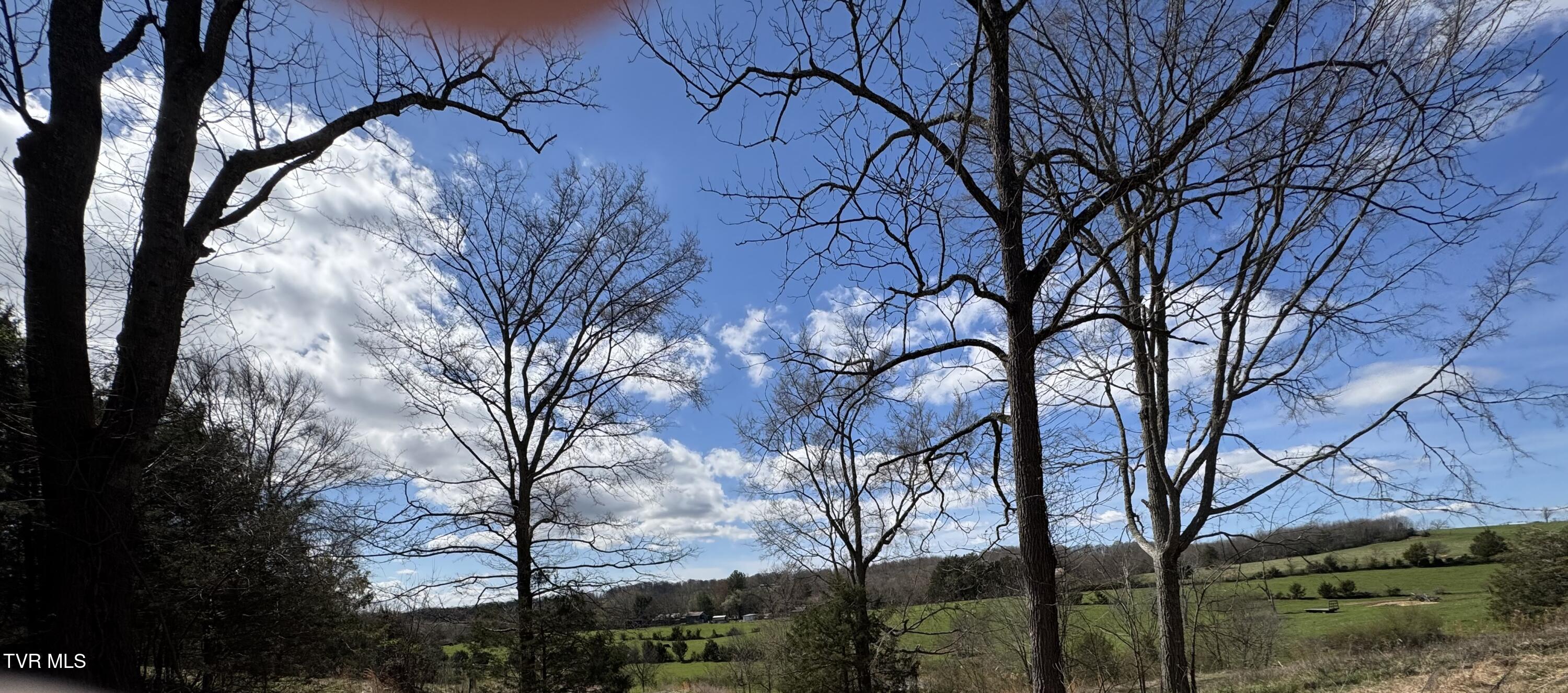 639 Saylor Hill Road Limestone, TN 37681 - Photo 13 of 75 IMG_9995