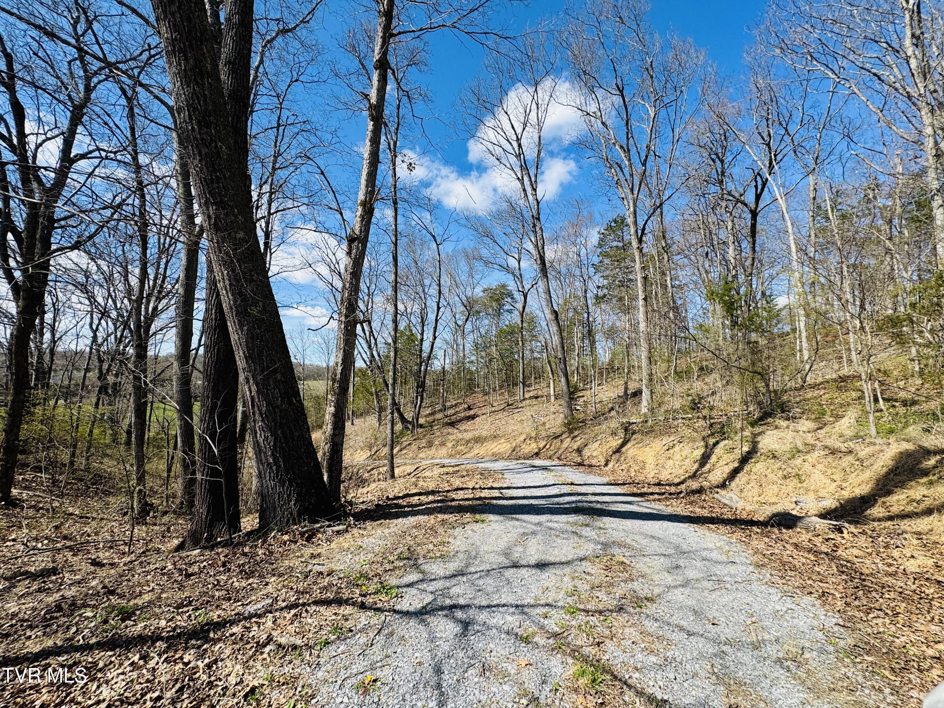 639 Saylor Hill Road Limestone, TN 37681 - Photo 14 of 75 IMG_9994