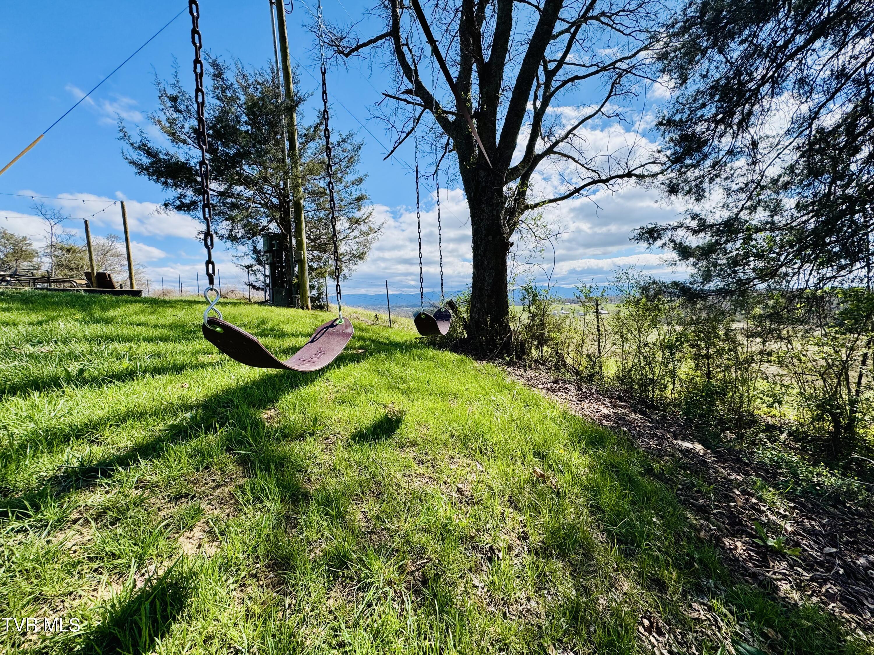 639 Saylor Hill Road Limestone, TN 37681 - Photo 44 of 75 IMG_9980