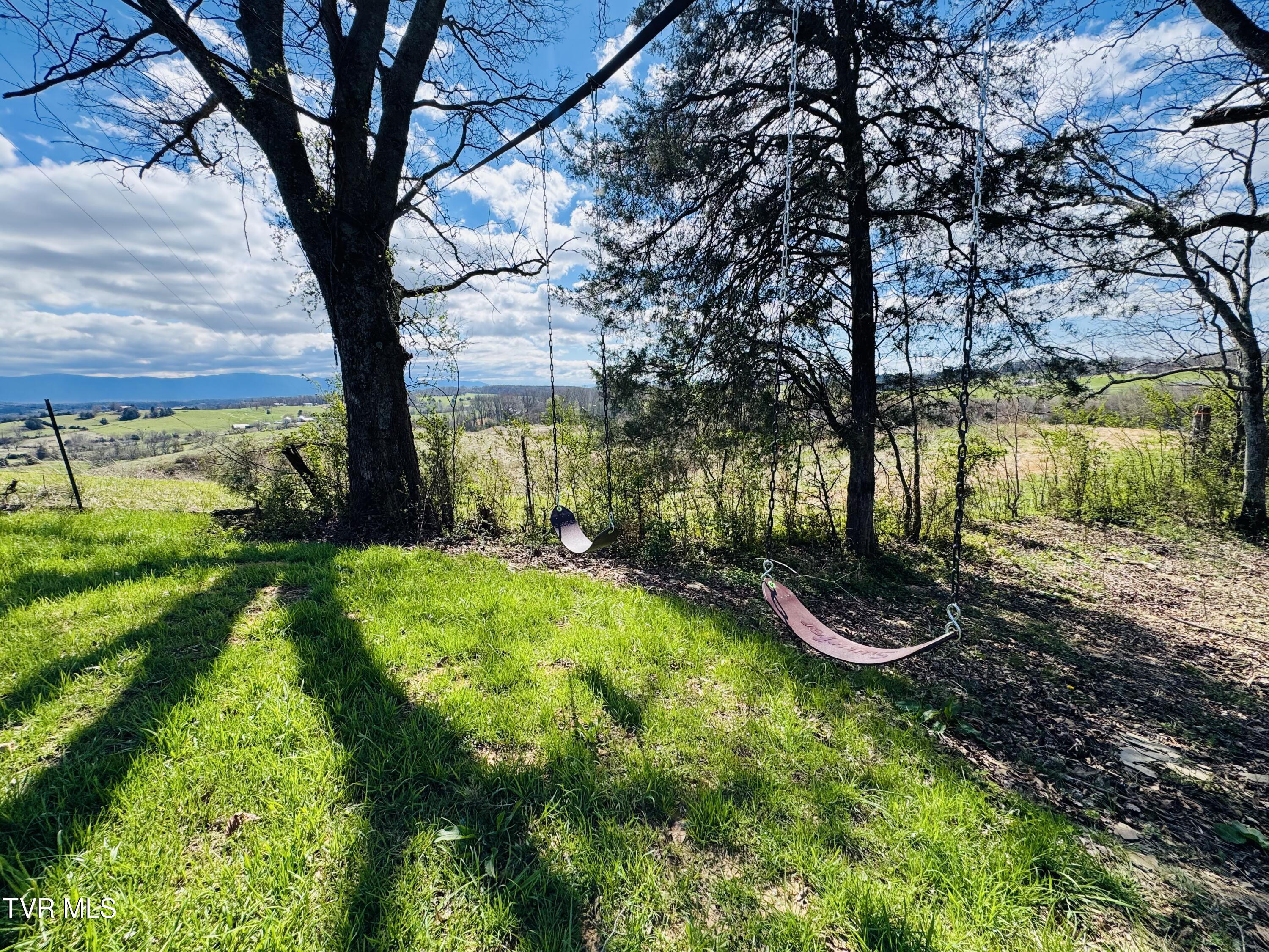 639 Saylor Hill Road Limestone, TN 37681 - Photo 45 of 75 IMG_9979