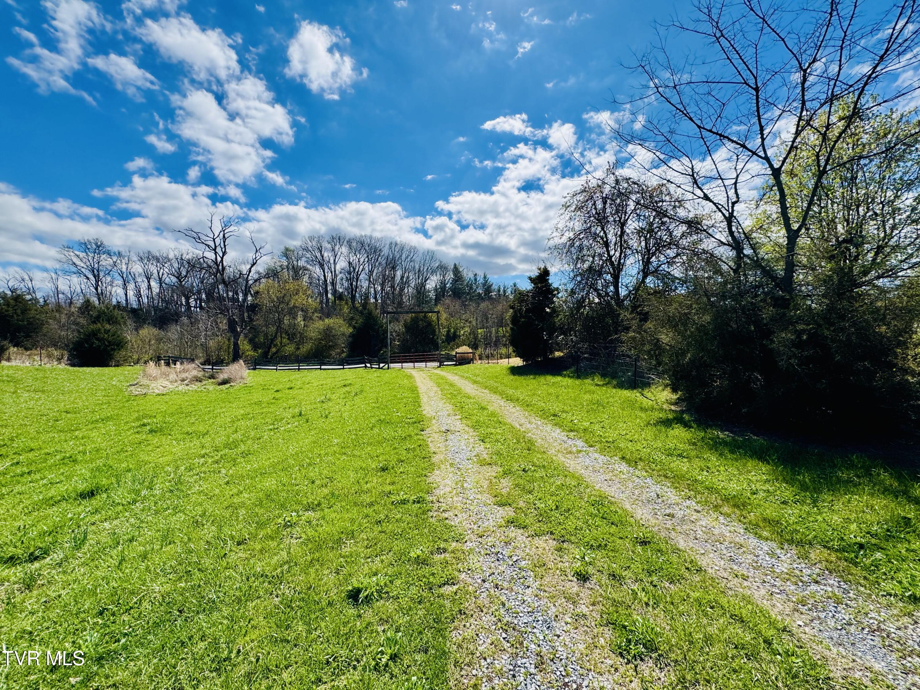 639 Saylor Hill Road Limestone, TN 37681 - Photo 5 of 75 IMG_0004