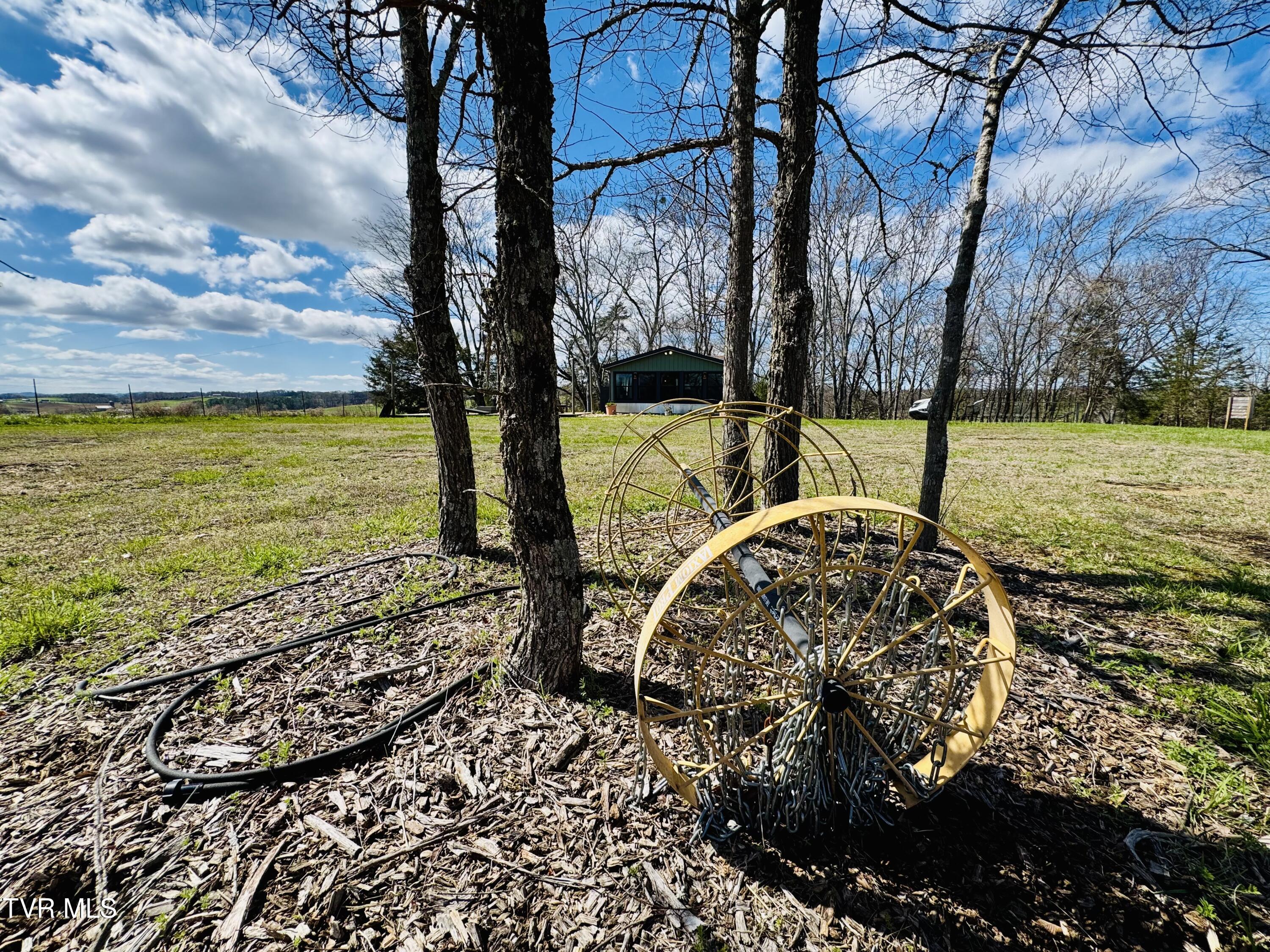 639 Saylor Hill Road Limestone, TN 37681 - Photo 53 of 75 IMG_9973