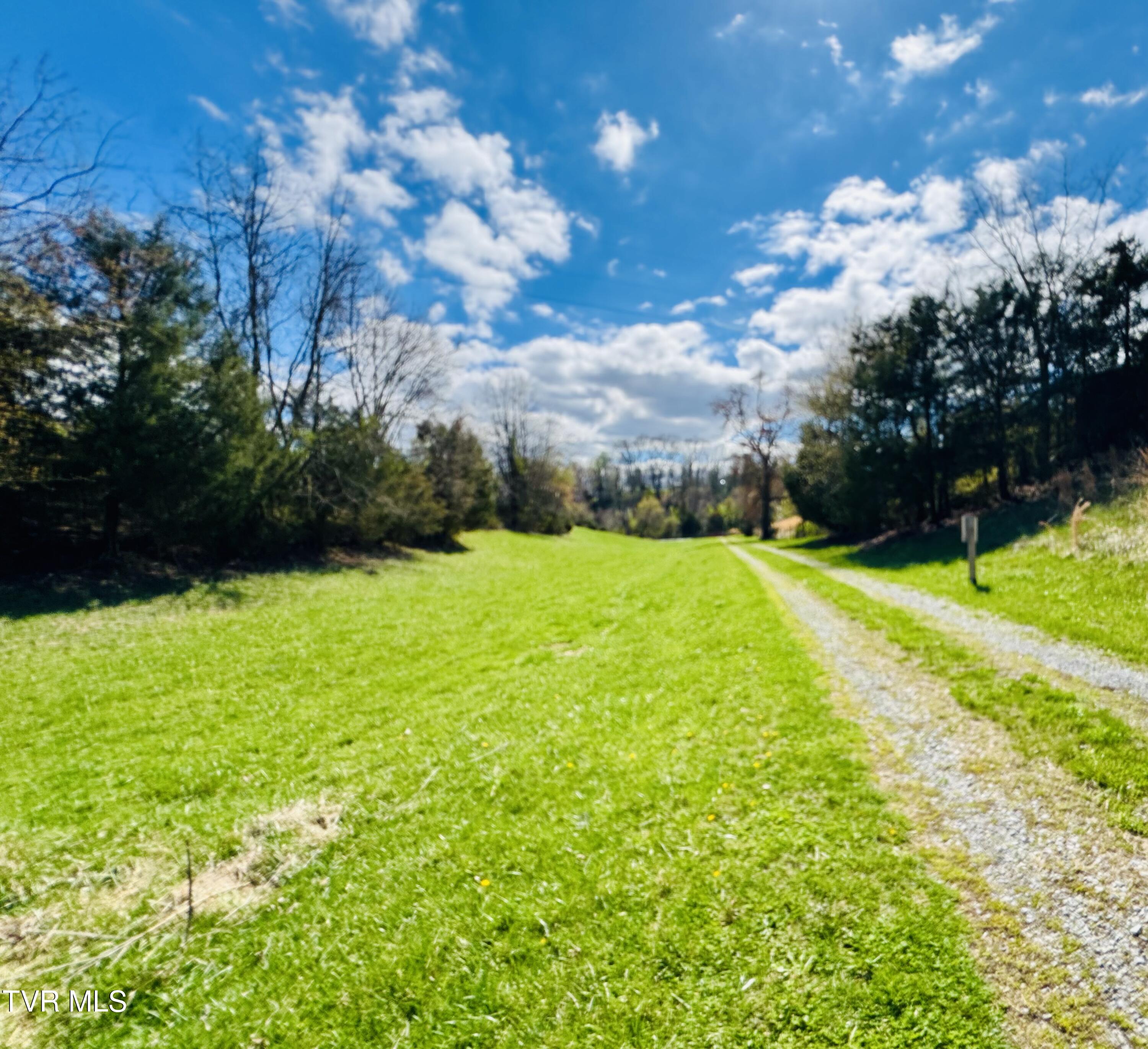 639 Saylor Hill Road Limestone, TN 37681 - Photo 6 of 75 IMG_0003