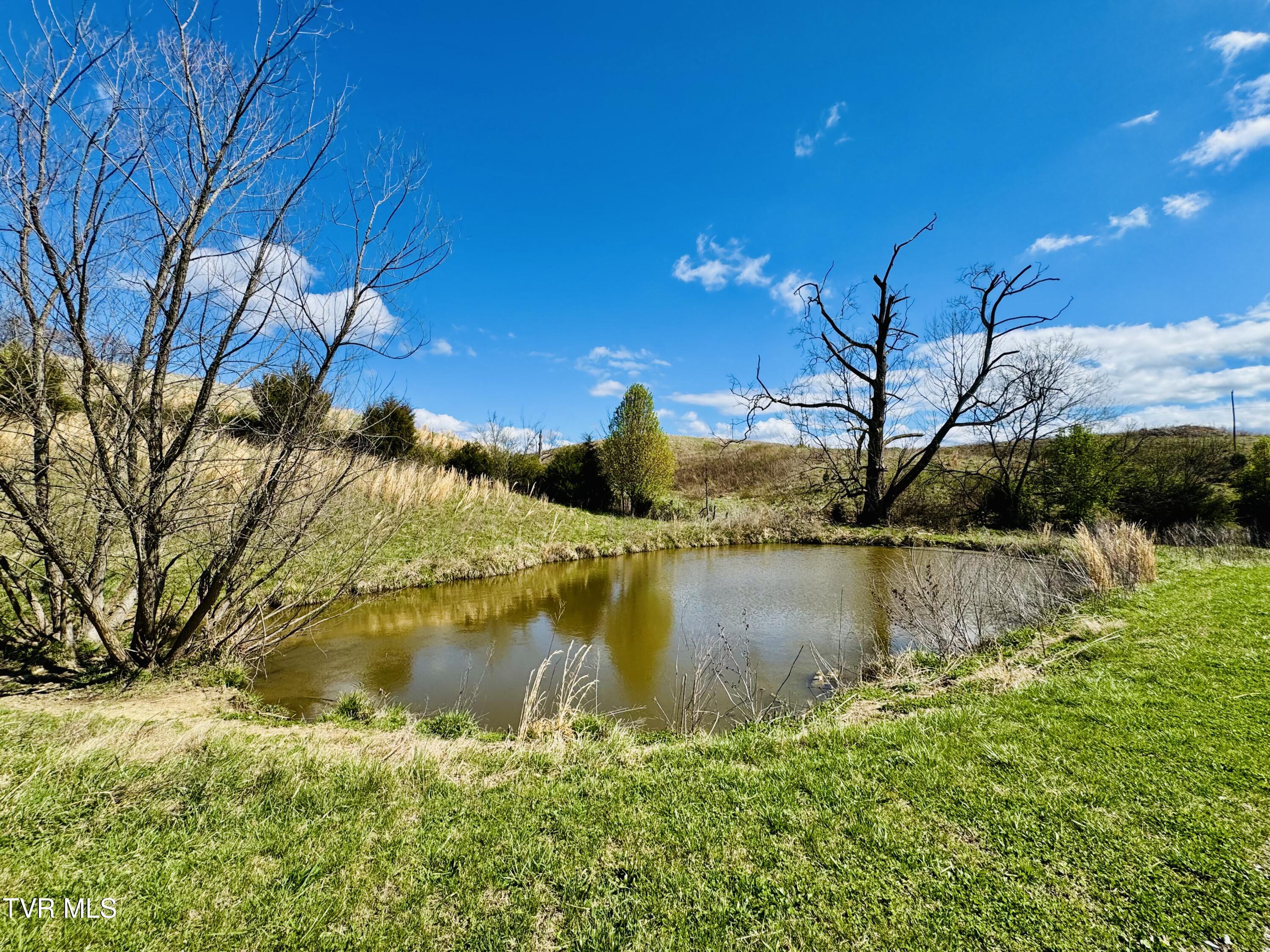 639 Saylor Hill Road Limestone, TN 37681 - Photo 7 of 75 IMG_0002