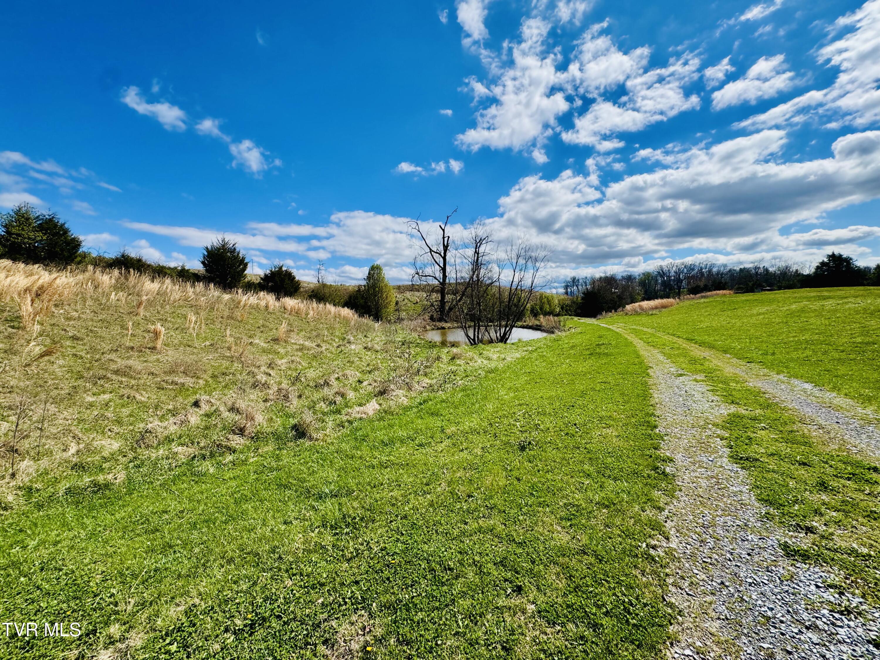 639 Saylor Hill Road Limestone, TN 37681 - Photo 8 of 75 IMG_0001