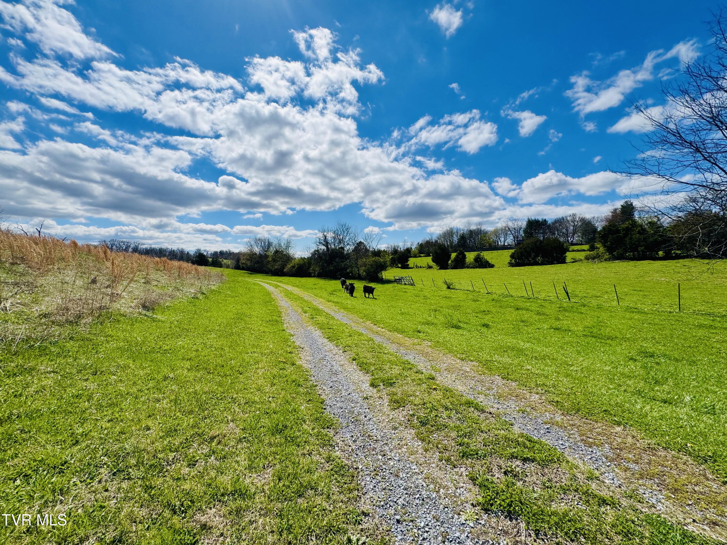 639 Saylor Hill Road Limestone, TN 37681 - Photo 9 of 75 IMG_9999