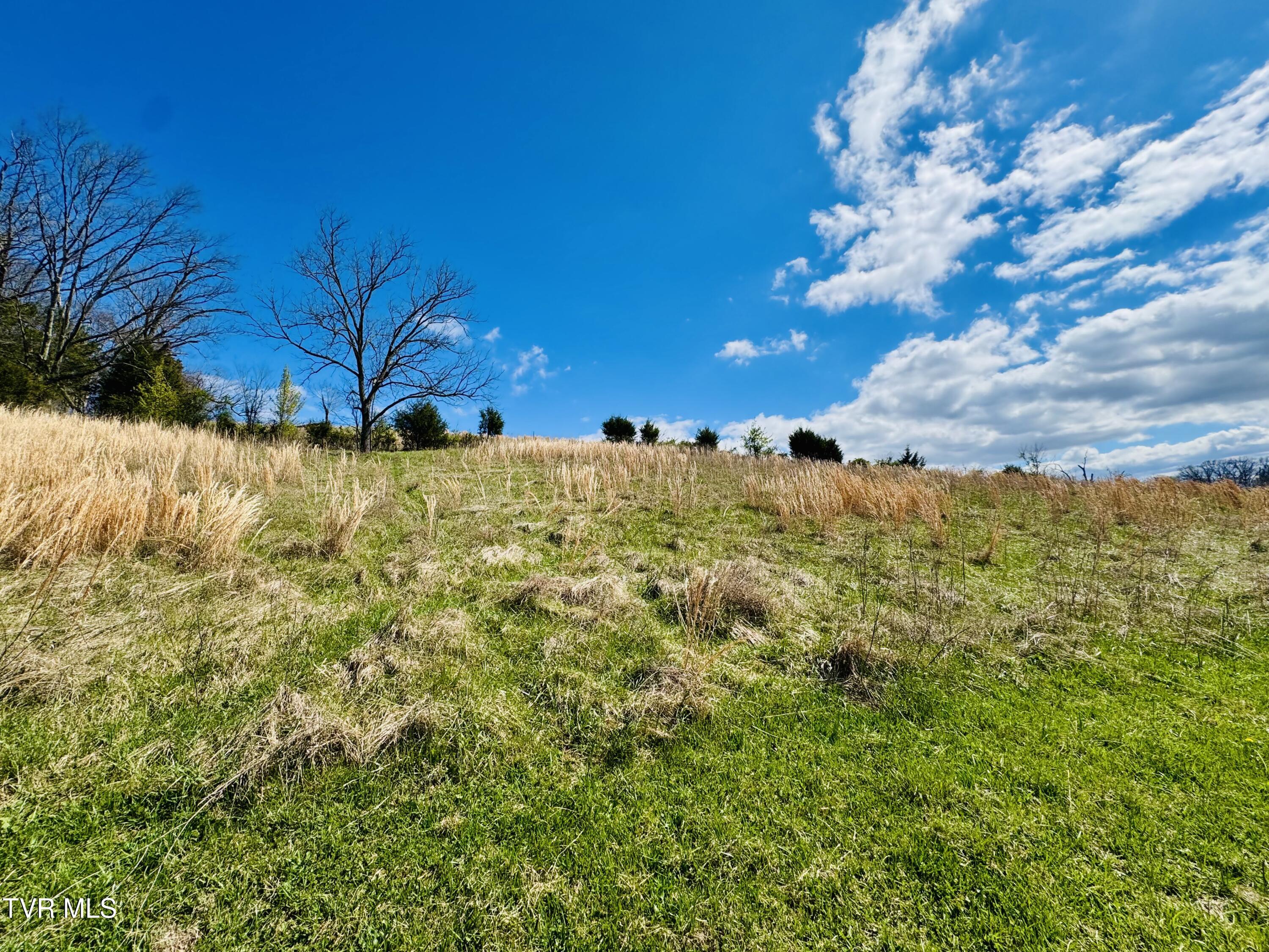 639 Saylor Hill Road Limestone, TN 37681 - Photo 10 of 75 IMG_9998