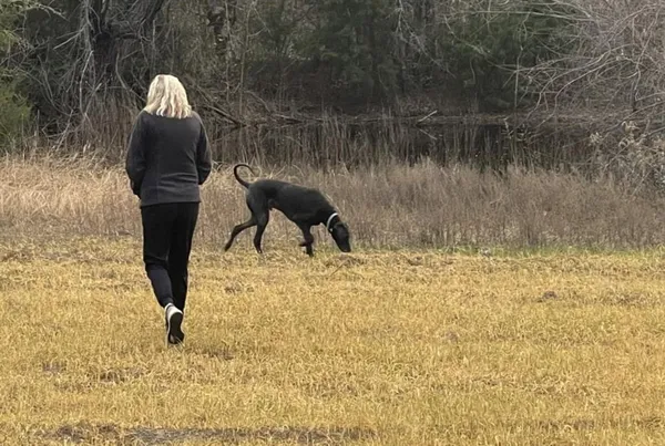 a view of a lake from a yard