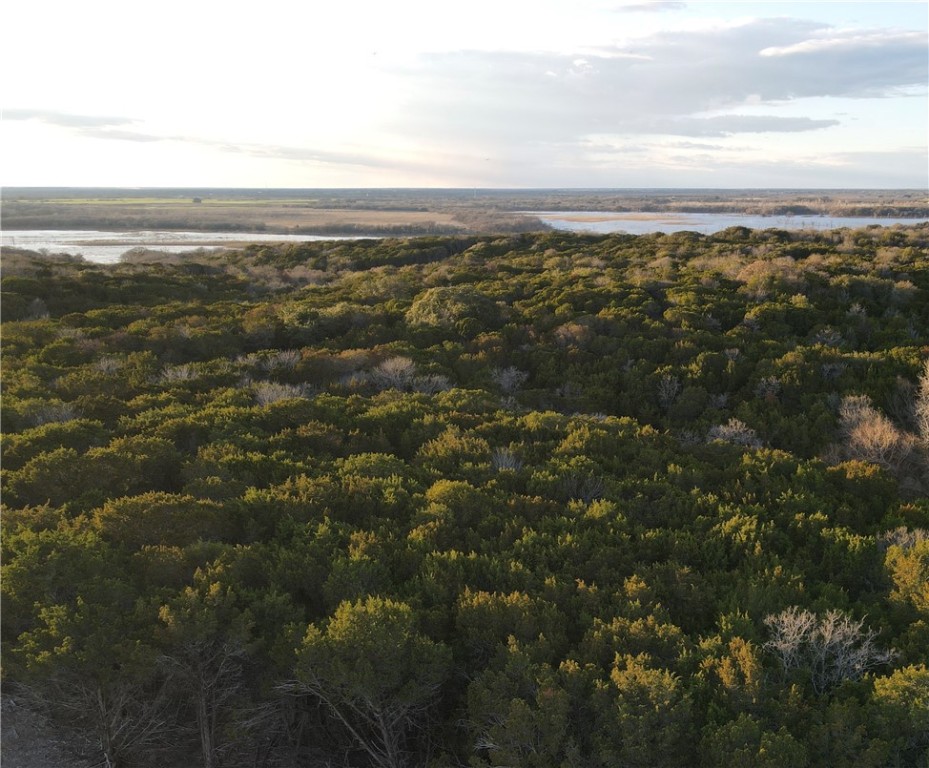 a view of city and ocean