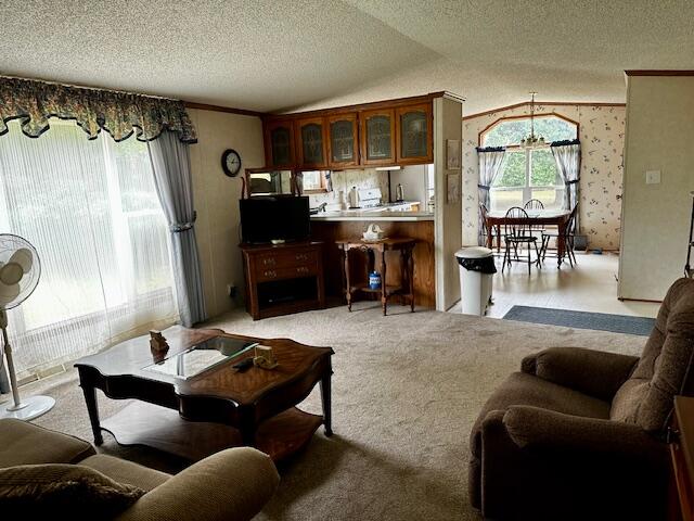 9058 East Loop Road Hesperia, MI 49421 - Photo 3 of 17 IMG_6952