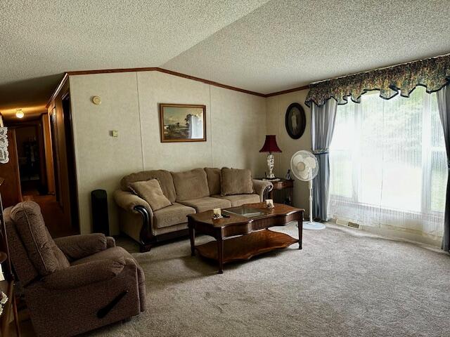 9058 East Loop Road Hesperia, MI 49421 - Photo 4 of 17 IMG_6951