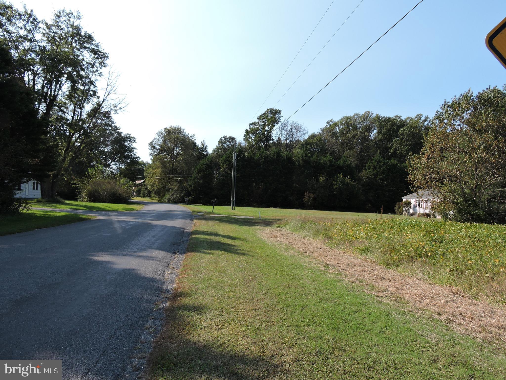 0 Baker Road Seaford, DE 19973 - Photo 2 of 3 View from road facing west.