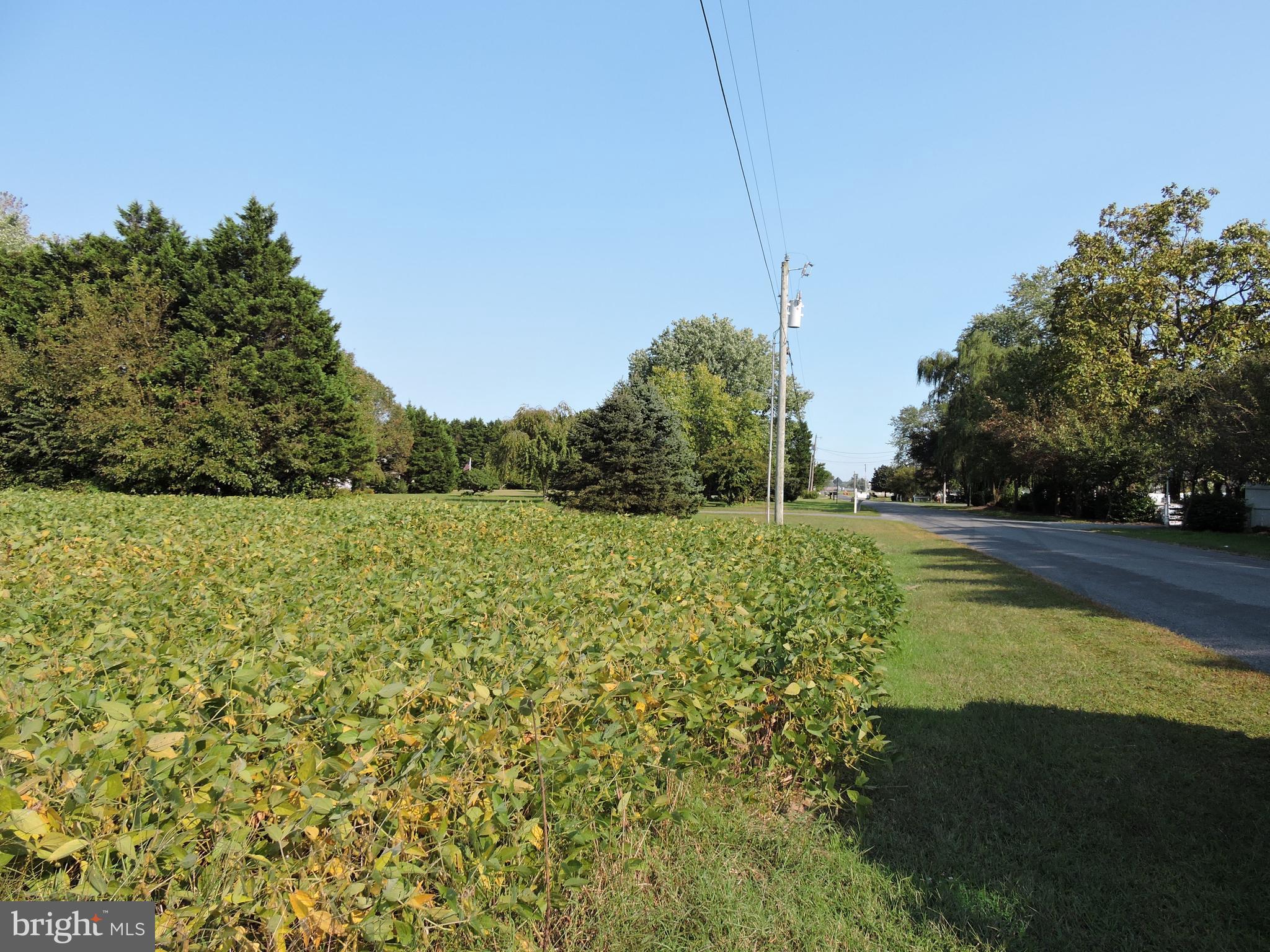 0 Baker Road Seaford, DE 19973 - Photo 3 of 3 View from road facing east.