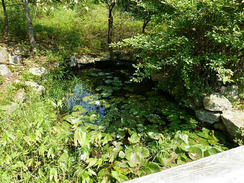 14 Plummer Road Westport Island, ME 04578 - Photo 28 of 35 Yard/Garden.