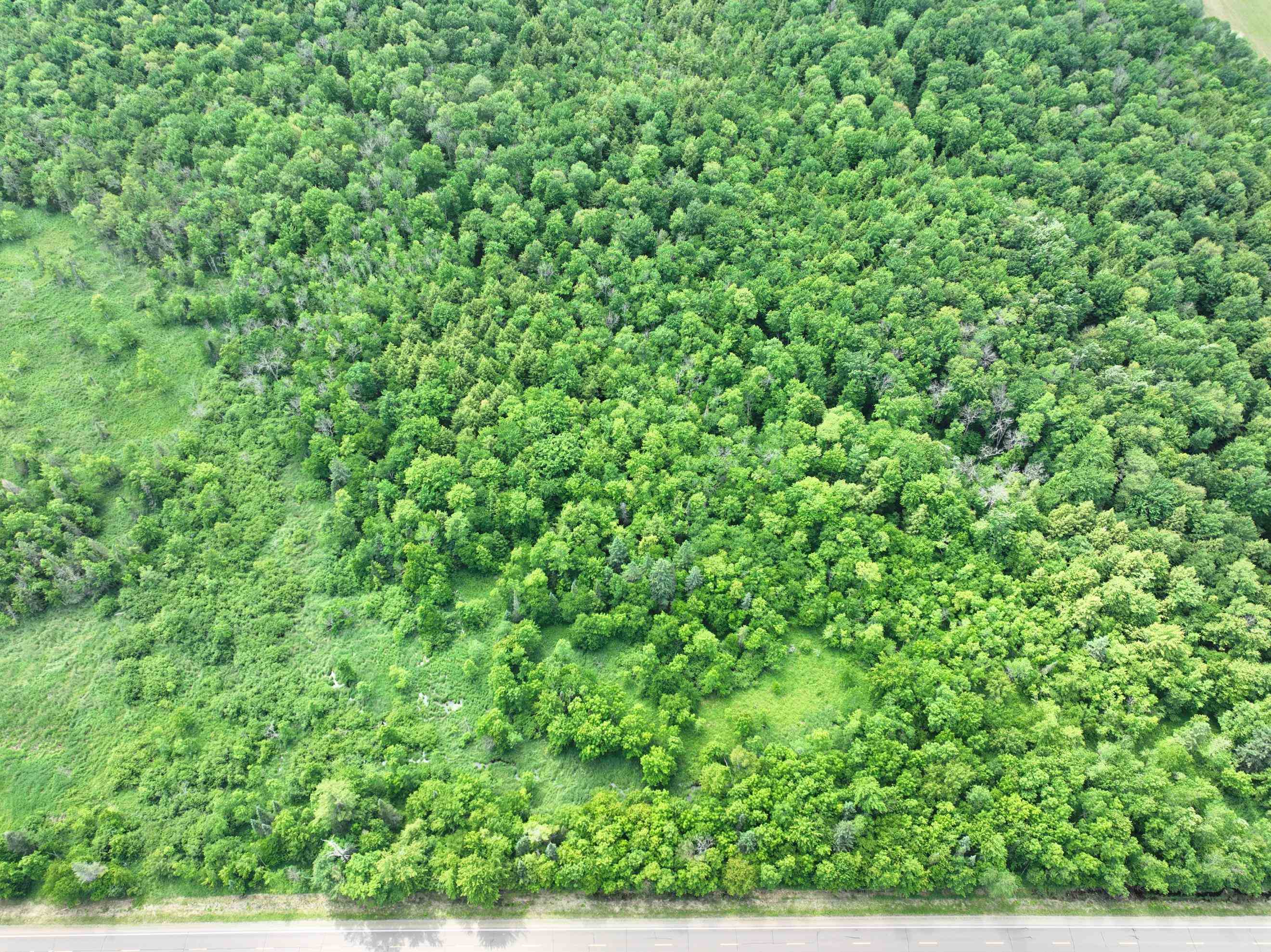 118.88-acres On County Rd O Wausau, WI 54401 - Photo 12 of 15