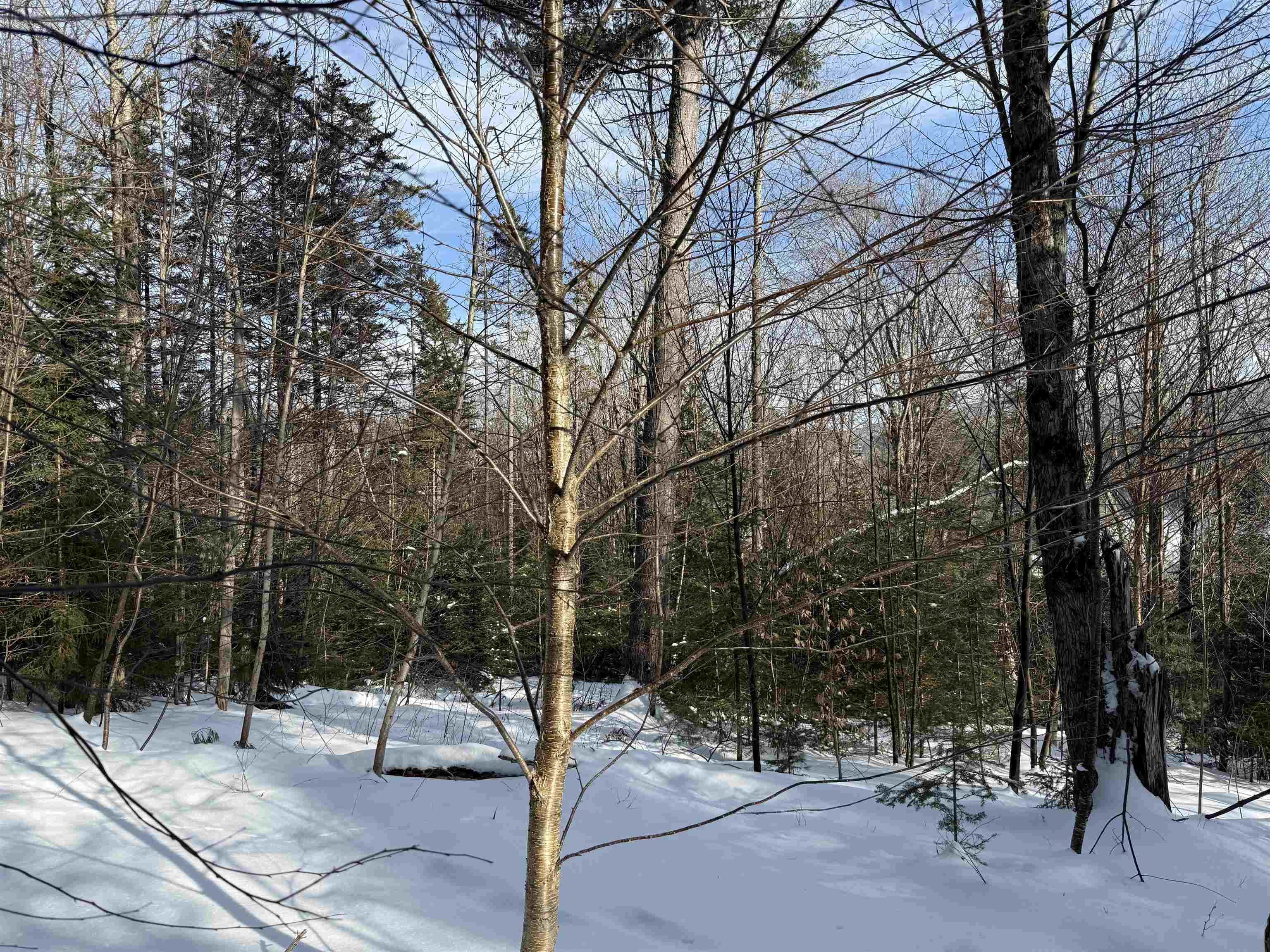 19 Stone Ridge Loop West Dover, VT 05356 - Photo 15 of 27