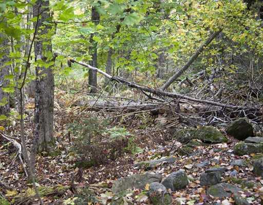 84 Oldham Road St. Albans, ME 04971 - Photo 10 of 13 Other. Rock wall marks one of the...